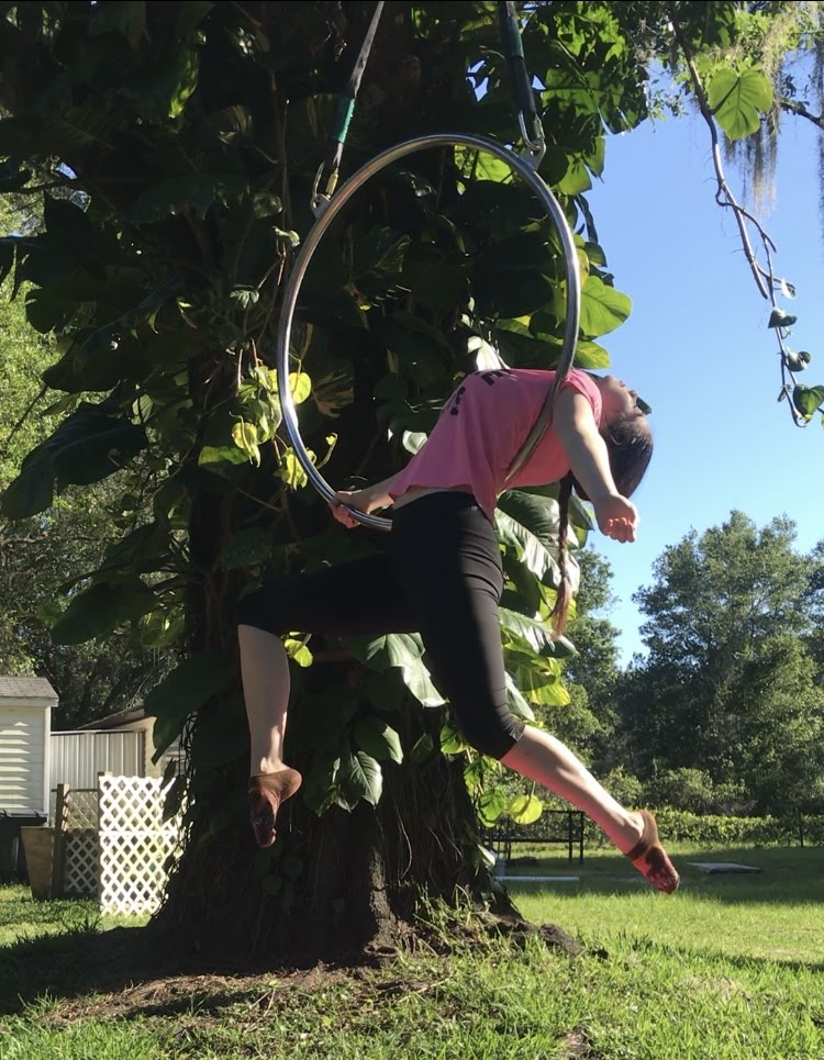 Lyra / Hoop Workshops